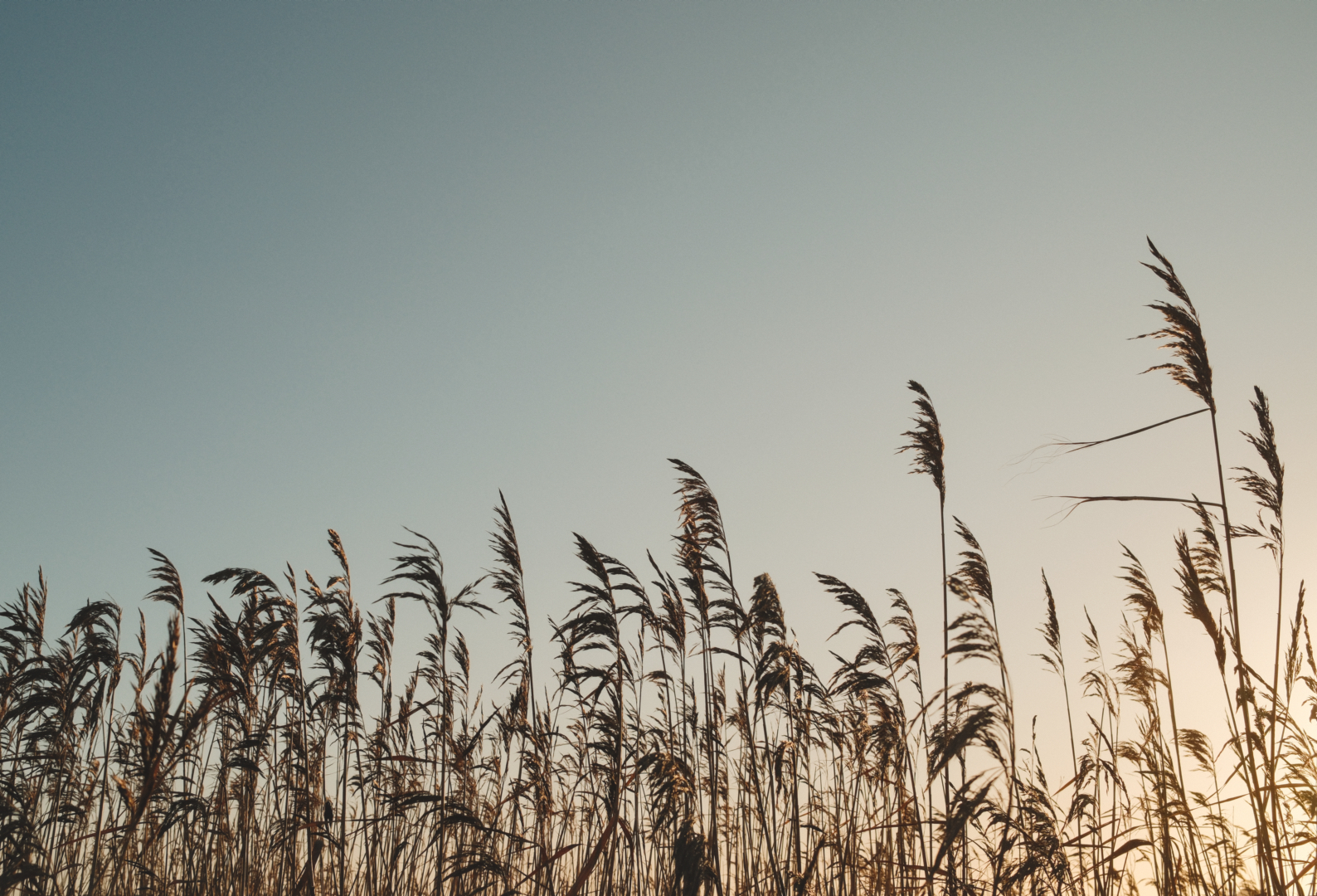 Vill din verksamhet synas på Rörö.nu?